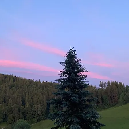 דירה Rotzinger הינטרצארטן