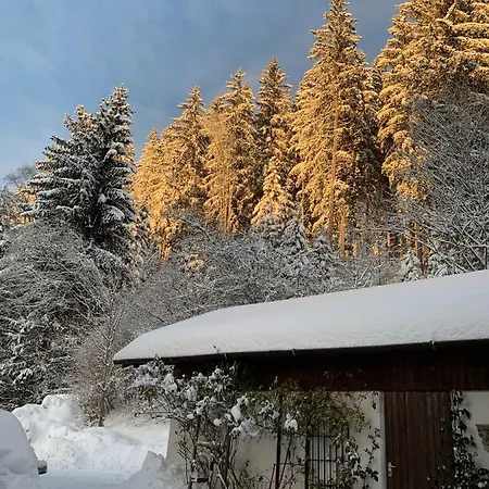 דירה Rotzinger *