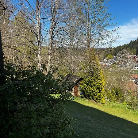 Rotzinger * Hinterzarten